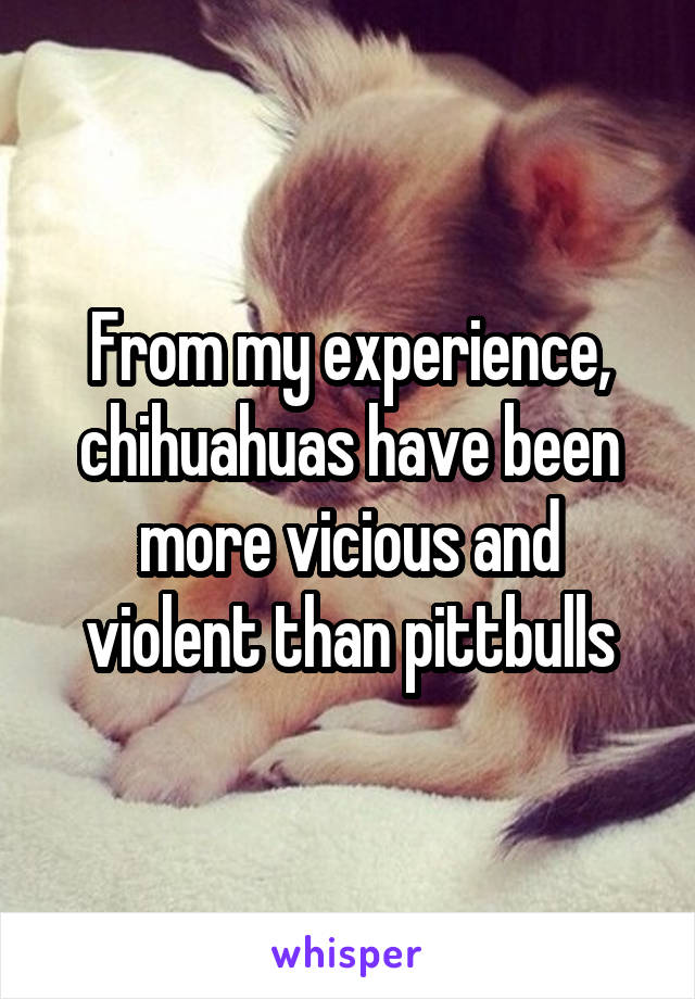 From my experience, chihuahuas have been more vicious and violent than pittbulls