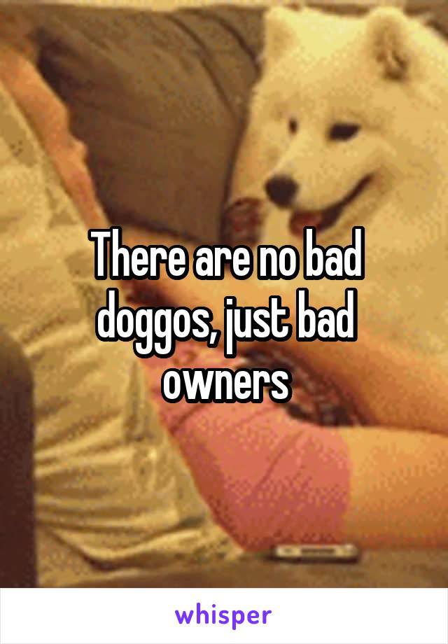 There are no bad doggos, just bad owners