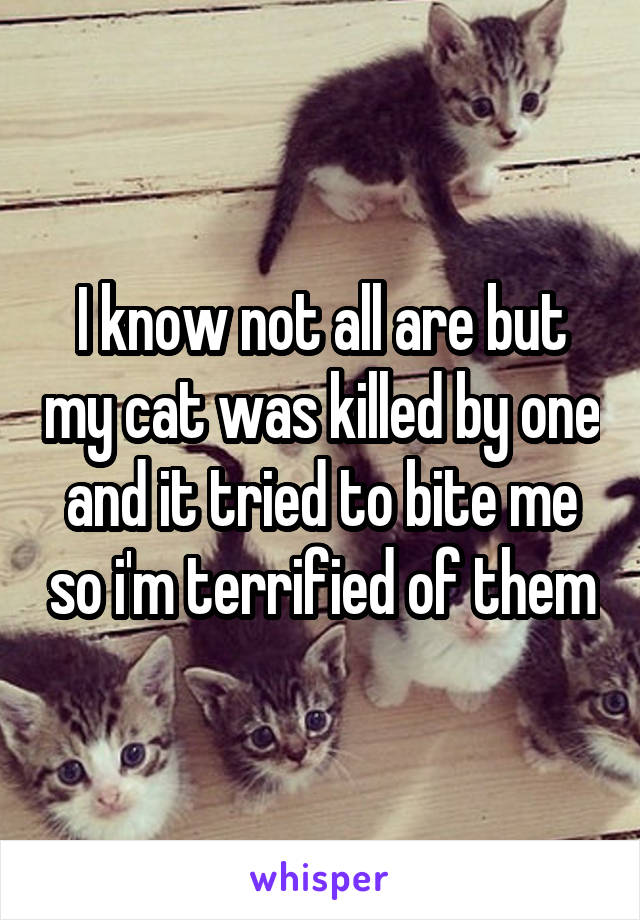 I know not all are but my cat was killed by one and it tried to bite me so i'm terrified of them