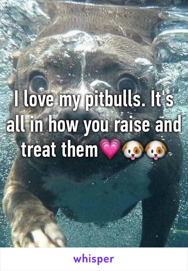 I love my pitbulls. It's all in how you raise and treat them💗🐶🐶