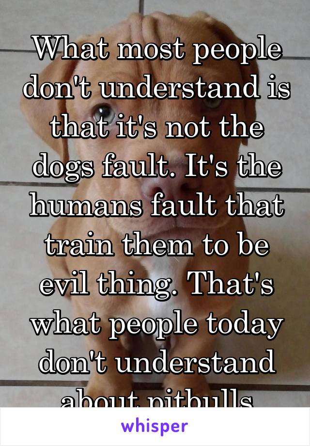 What most people don't understand is that it's not the dogs fault. It's the humans fault that train them to be evil thing. That's what people today don't understand about pitbulls