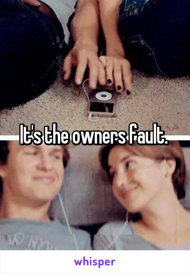 It's the owners fault. 