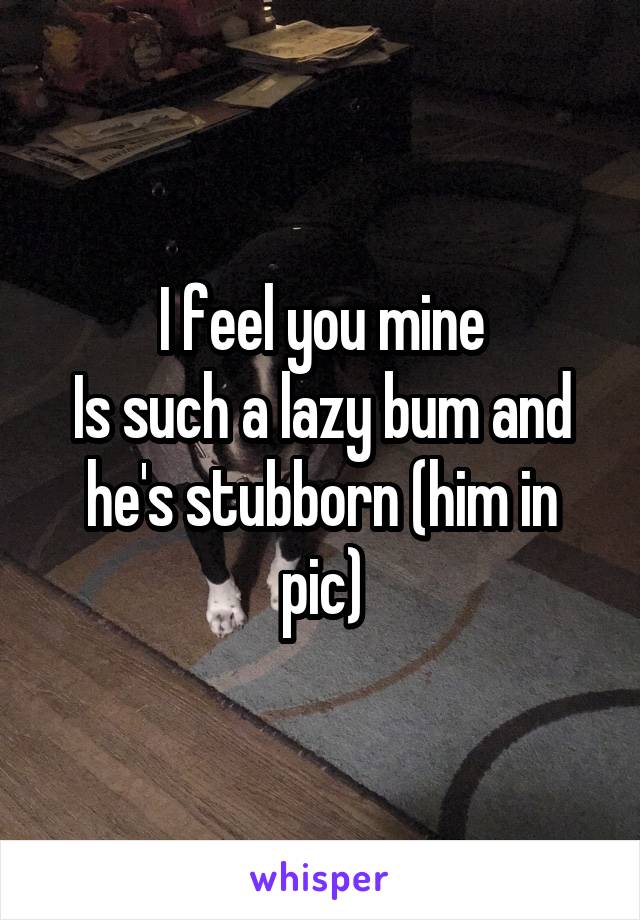 I feel you mine
Is such a lazy bum and he's stubborn (him in pic)