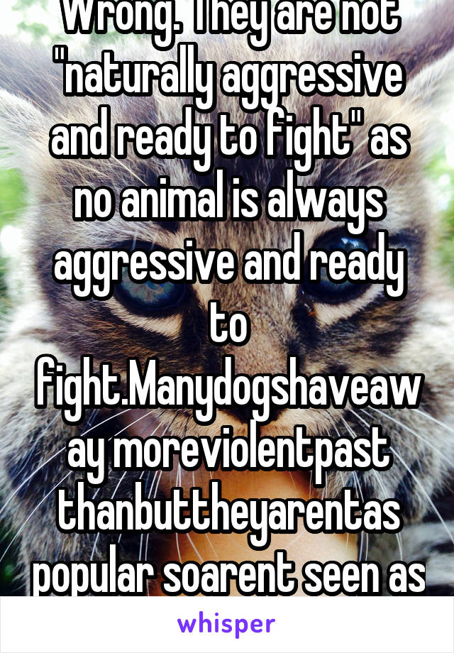 Wrong. They are not "naturally aggressive and ready to fight" as no animal is always aggressive and ready to fight.Manydogshaveaway moreviolentpast thanbuttheyarentas popular soarent seen as dangerous