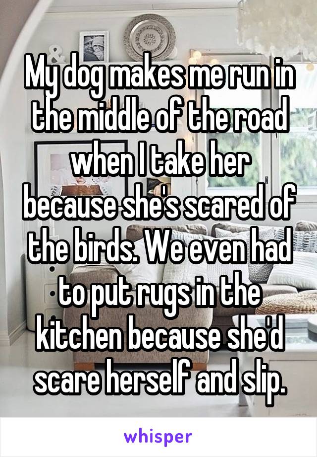 My dog makes me run in the middle of the road when I take her because she's scared of the birds. We even had to put rugs in the kitchen because she'd scare herself and slip.