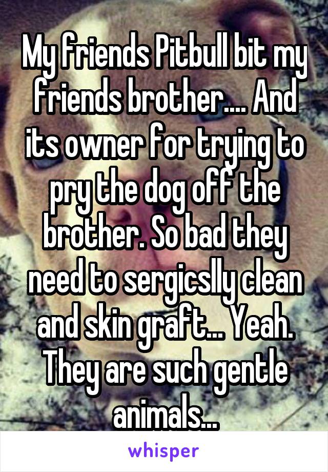 My friends Pitbull bit my friends brother.... And its owner for trying to pry the dog off the brother. So bad they need to sergicslly clean and skin graft... Yeah. They are such gentle animals...