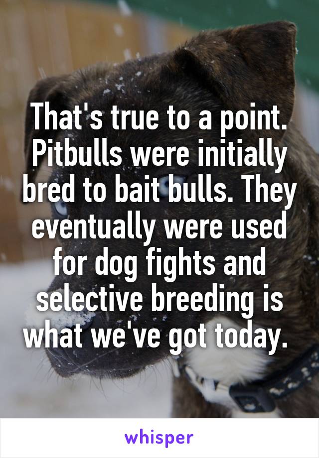 That's true to a point. Pitbulls were initially bred to bait bulls. They eventually were used for dog fights and selective breeding is what we've got today. 