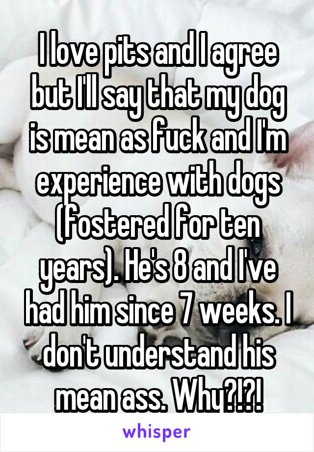 I love pits and I agree but I'll say that my dog is mean as fuck and I'm experience with dogs (fostered for ten years). He's 8 and I've had him since 7 weeks. I don't understand his mean ass. Why?!?!