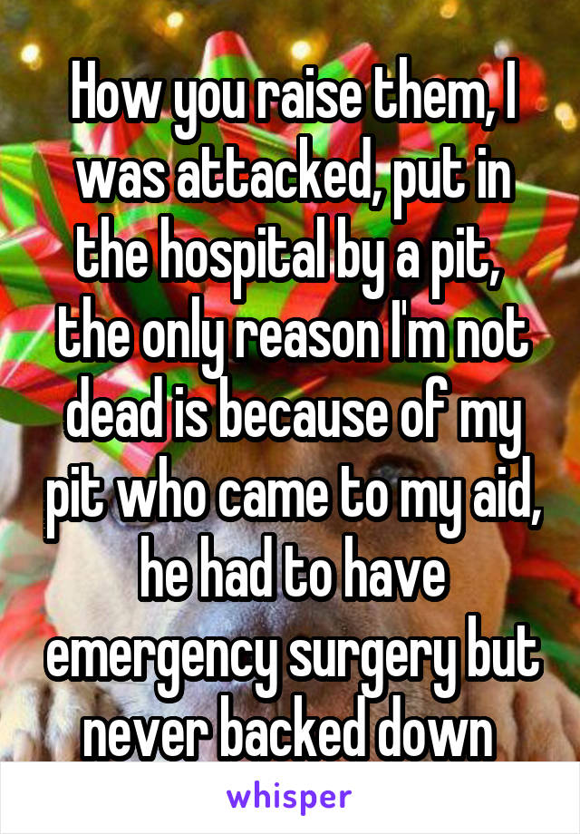 How you raise them, I was attacked, put in the hospital by a pit,  the only reason I'm not dead is because of my pit who came to my aid, he had to have emergency surgery but never backed down 