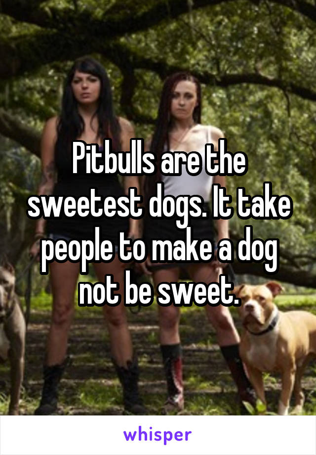 Pitbulls are the sweetest dogs. It take people to make a dog not be sweet.