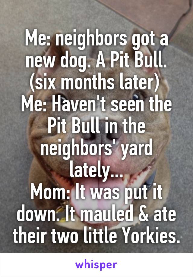  Me: neighbors got a new dog. A Pit Bull.
(six months later) 
Me: Haven't seen the Pit Bull in the neighbors' yard lately...
Mom: It was put it down. It mauled & ate their two little Yorkies.