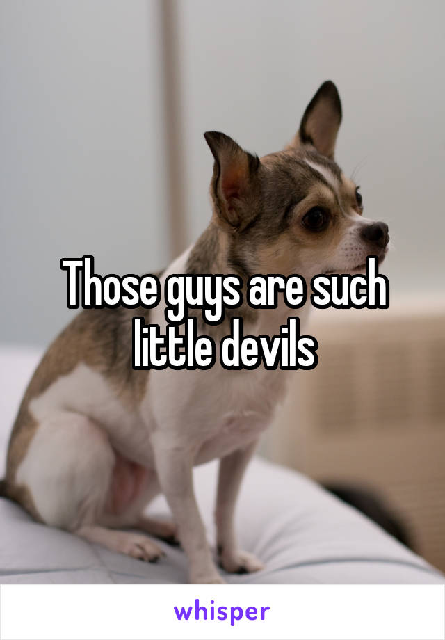 Those guys are such little devils