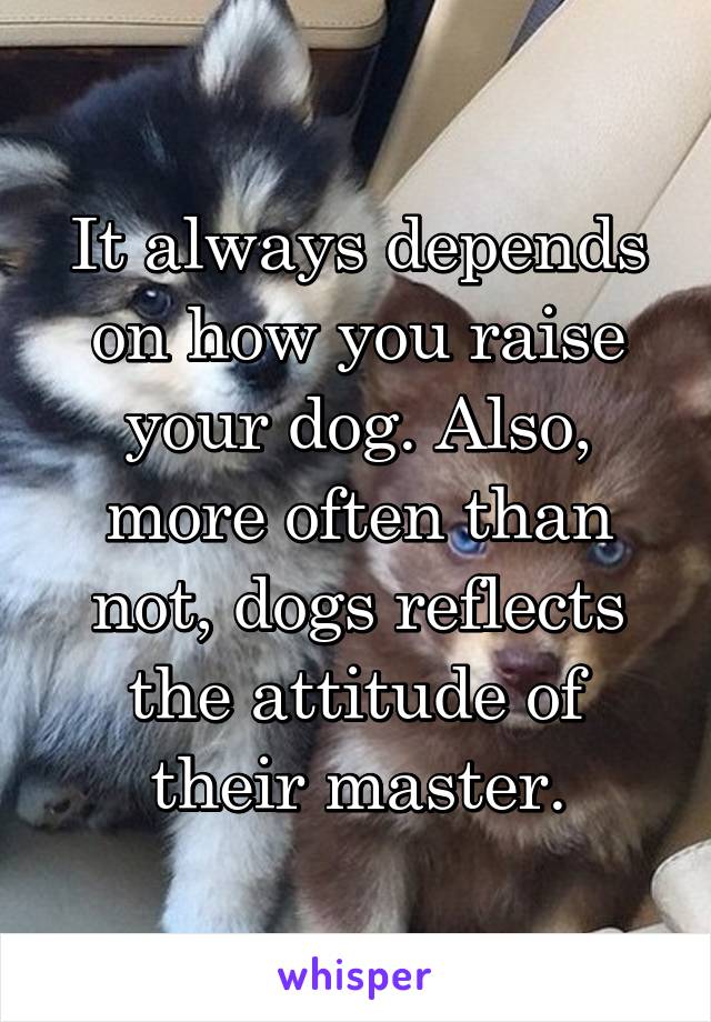 It always depends on how you raise your dog. Also, more often than not, dogs reflects the attitude of their master.