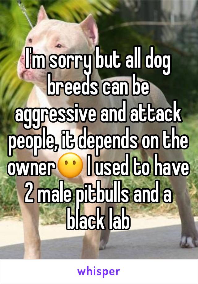 I'm sorry but all dog breeds can be aggressive and attack people, it depends on the owner😶 I used to have 2 male pitbulls and a black lab 