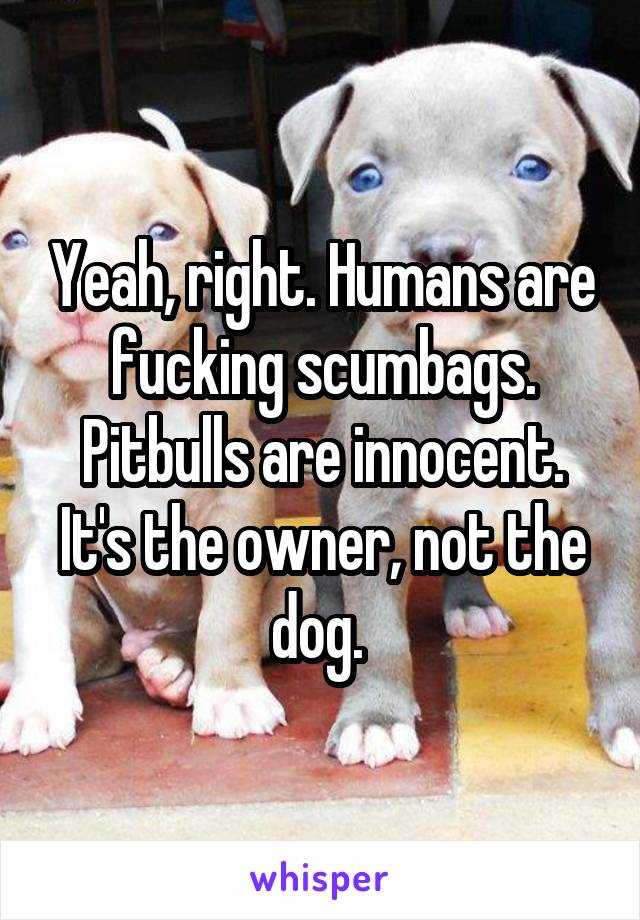 Yeah, right. Humans are fucking scumbags. Pitbulls are innocent. It's the owner, not the dog. 