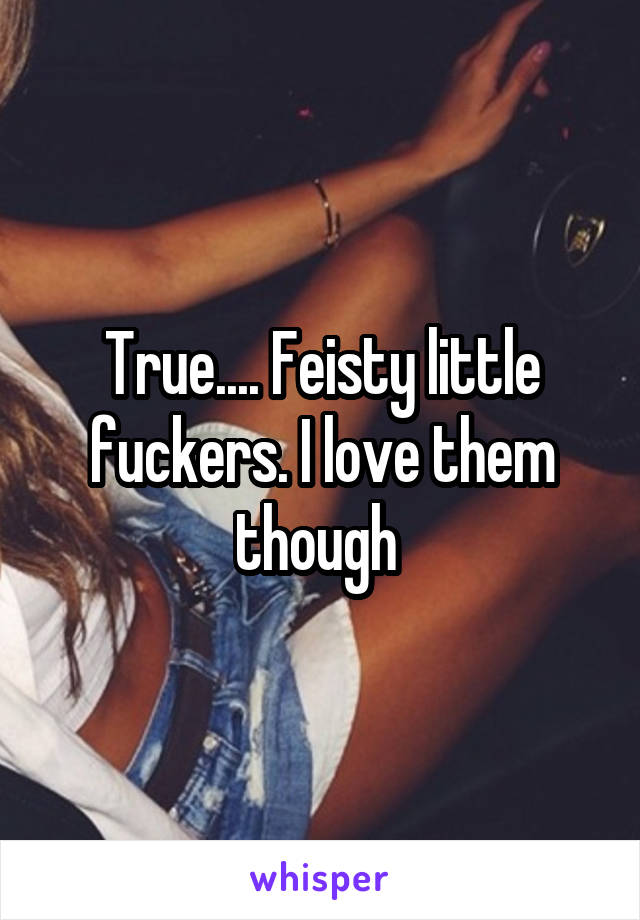 True.... Feisty little fuckers. I love them though 