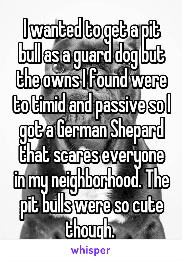 I wanted to get a pit bull as a guard dog but the owns I found were to timid and passive so I got a German Shepard that scares everyone in my neighborhood. The pit bulls were so cute though. 