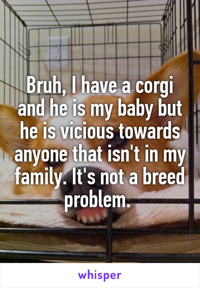 Bruh, I have a corgi and he is my baby but he is vicious towards anyone that isn't in my family. It's not a breed problem. 