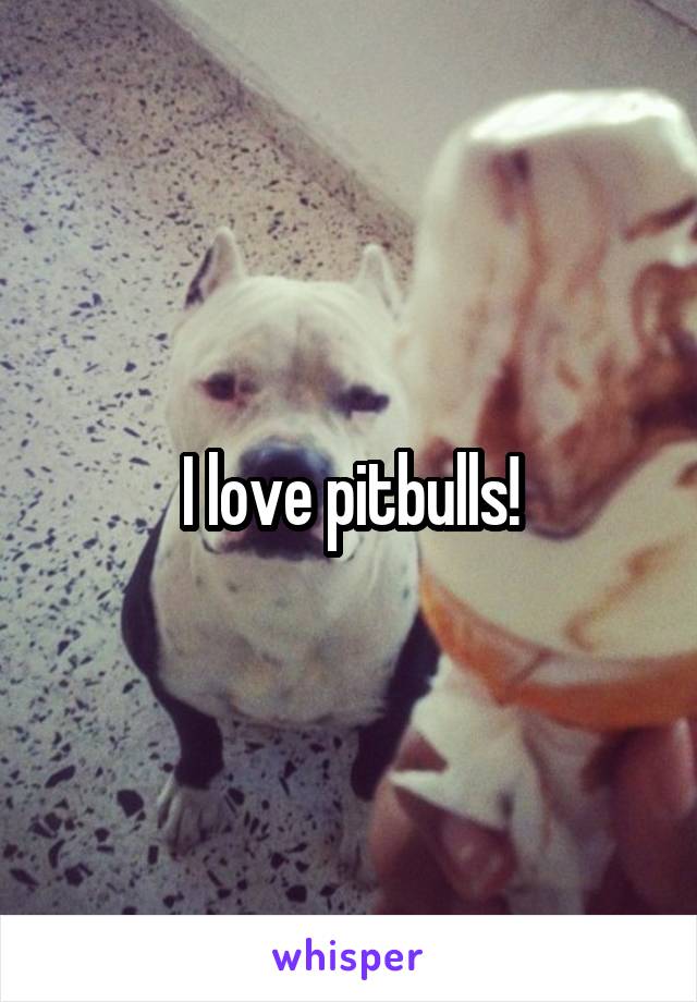 I love pitbulls!