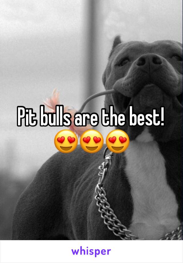 Pit bulls are the best! 😍😍😍