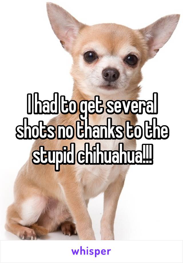 I had to get several shots no thanks to the stupid chihuahua!!!