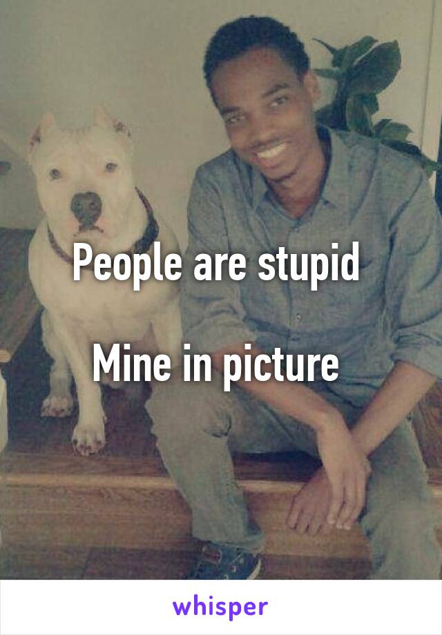 
People are stupid 

Mine in picture 