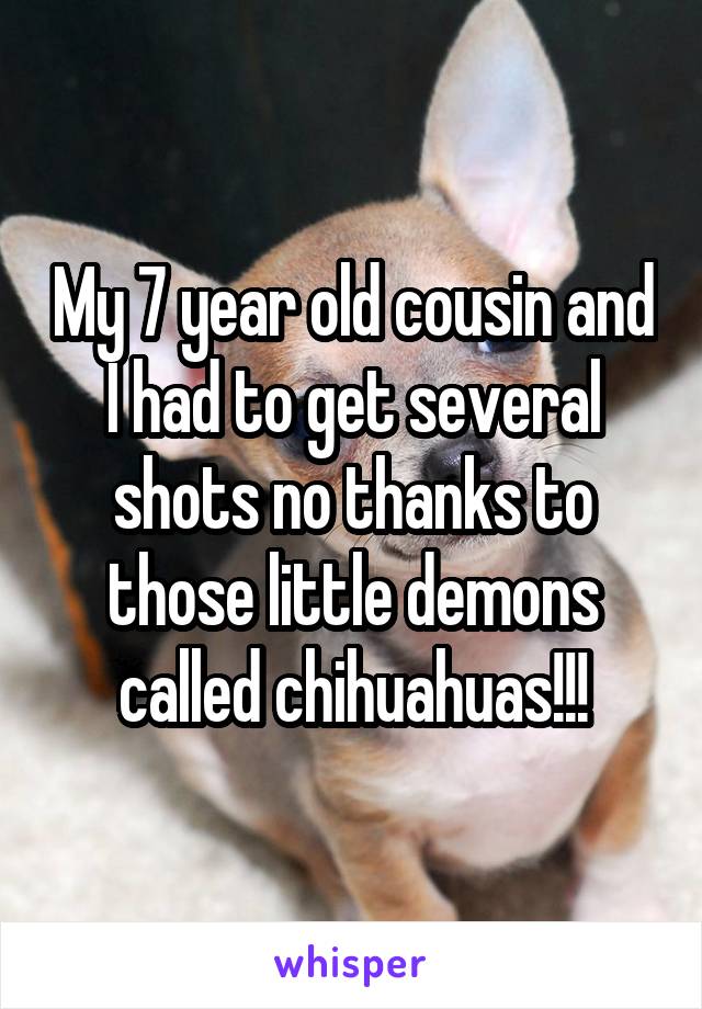 My 7 year old cousin and I had to get several shots no thanks to those little demons called chihuahuas!!!