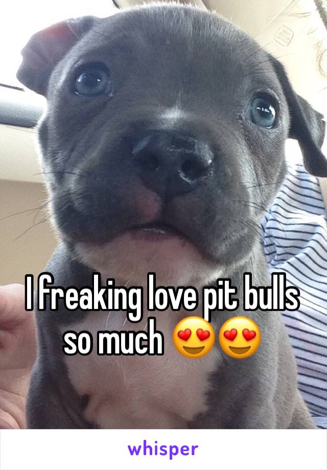 I freaking love pit bulls so much 😍😍