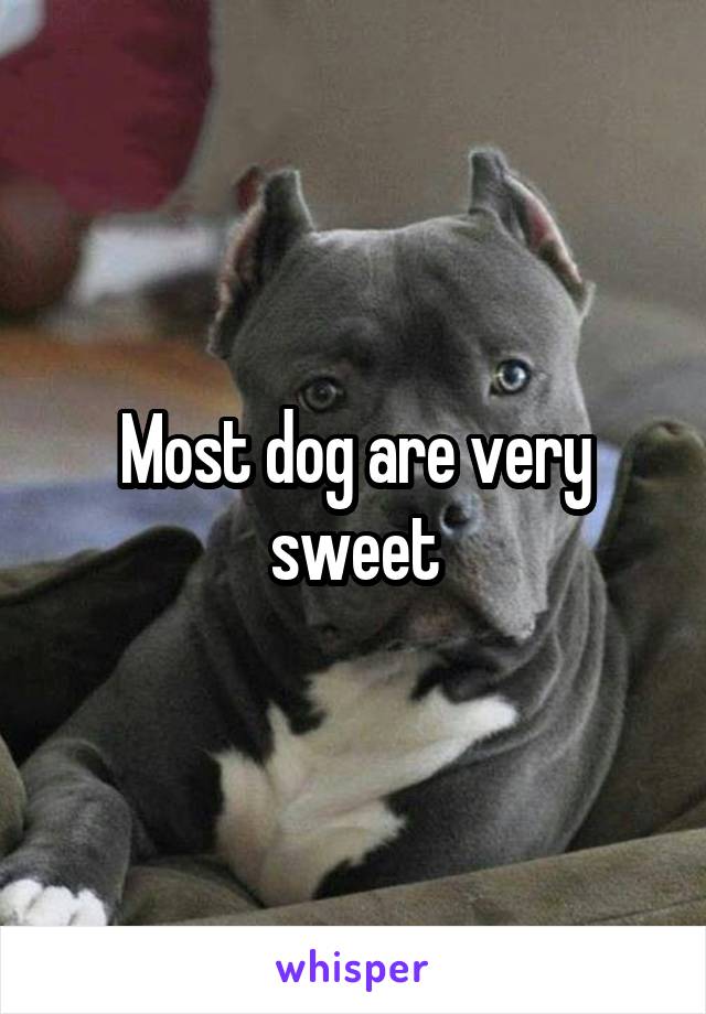 Most dog are very sweet