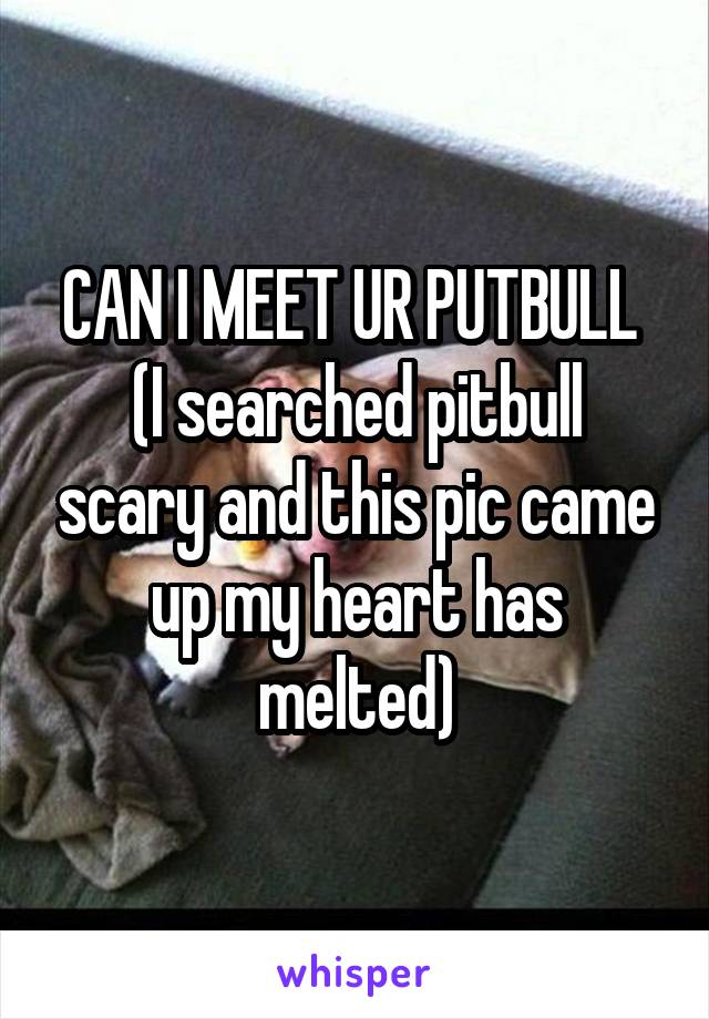 CAN I MEET UR PUTBULL 
(I searched pitbull scary and this pic came up my heart has melted)