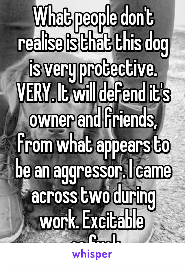 What people don't realise is that this dog is very protective. VERY. It will defend it's owner and friends, from what appears to be an aggressor. I came across two during work. Excitable 
 as fuck