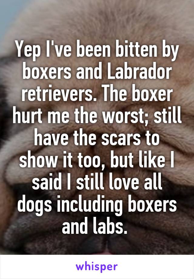 Yep I've been bitten by boxers and Labrador retrievers. The boxer hurt me the worst; still have the scars to show it too, but like I said I still love all dogs including boxers and labs. 