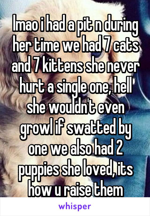 lmao i had a pit n during her time we had 7 cats and 7 kittens she never hurt a single one, hell she wouldn't even growl if swatted by one we also had 2 puppies she loved, its how u raise them