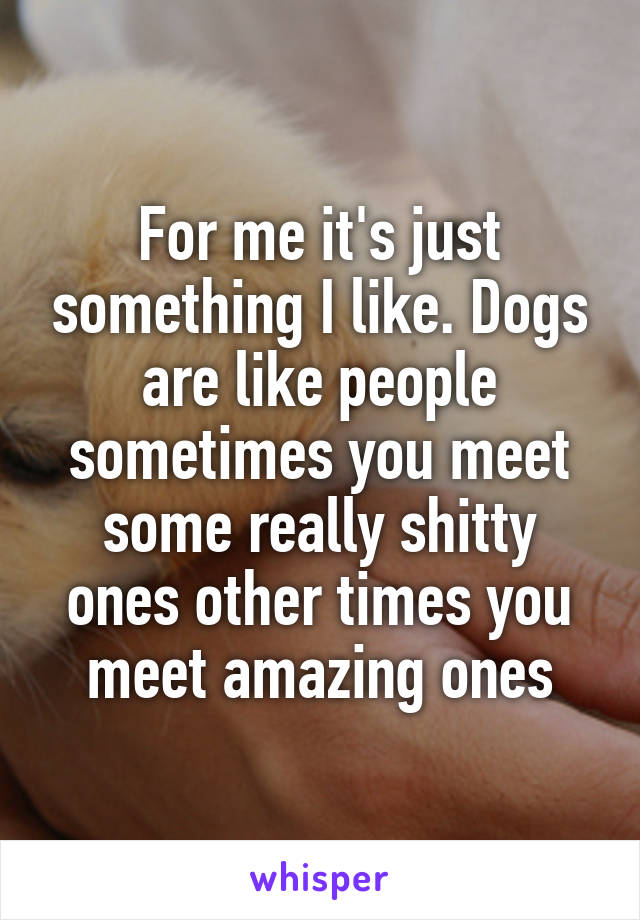 For me it's just something I like. Dogs are like people sometimes you meet some really shitty ones other times you meet amazing ones