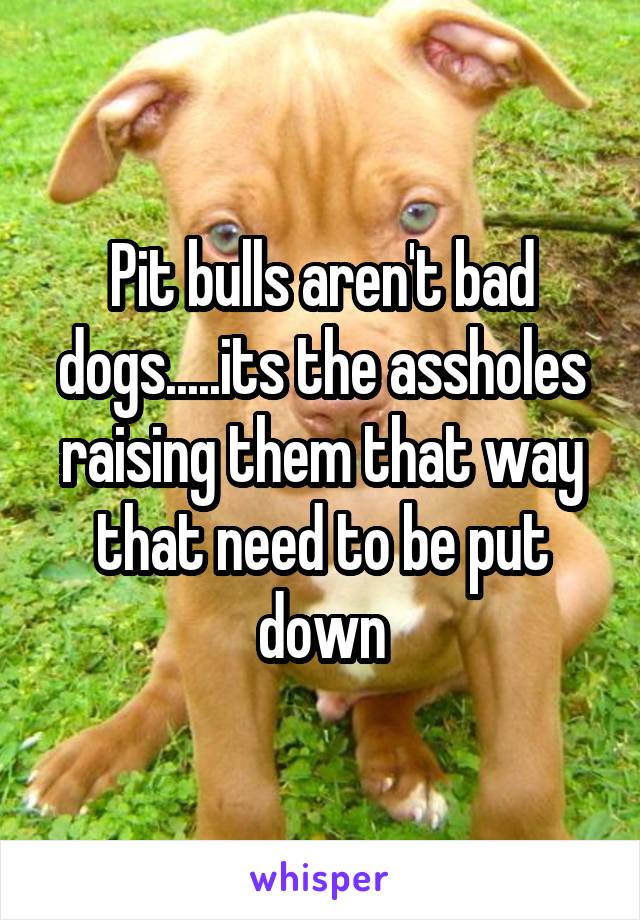 Pit bulls aren't bad dogs.....its the assholes raising them that way that need to be put down