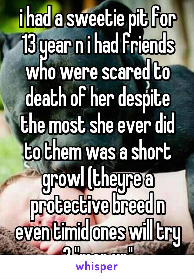 i had a sweetie pit for 13 year n i had friends who were scared to death of her despite the most she ever did to them was a short growl (theyre a protective breed n even timid ones will try 2 "man up"