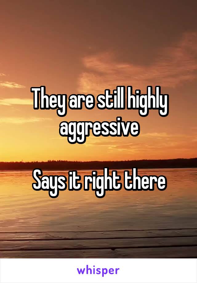 They are still highly aggressive

Says it right there