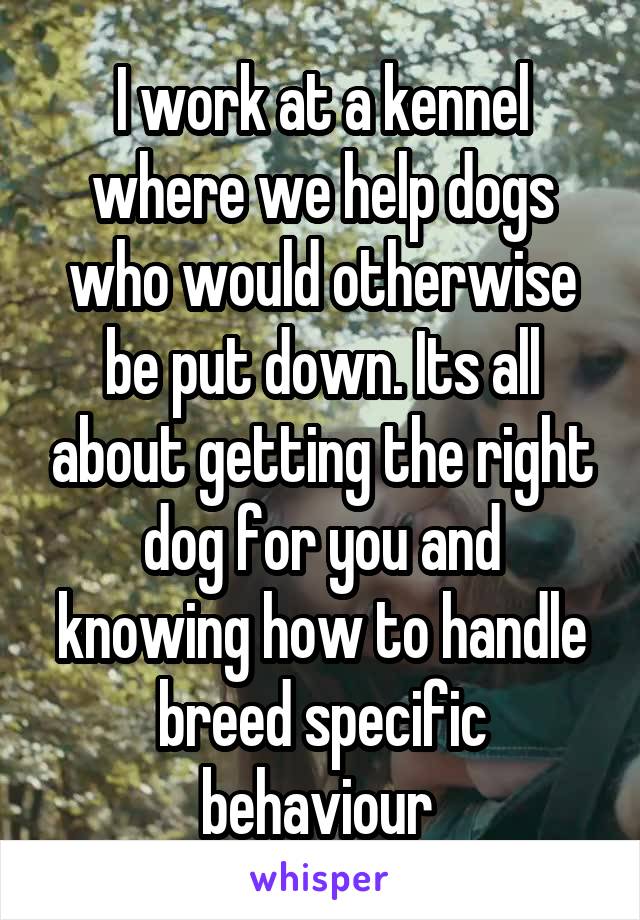 I work at a kennel where we help dogs who would otherwise be put down. Its all about getting the right dog for you and knowing how to handle breed specific behaviour 