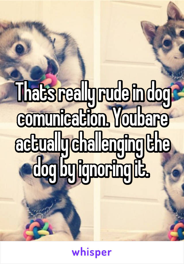 Thats really rude in dog comunication. Youbare actually challenging the dog by ignoring it. 