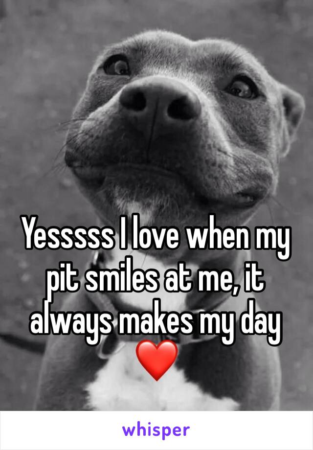 Yesssss I love when my pit smiles at me, it always makes my day❤️