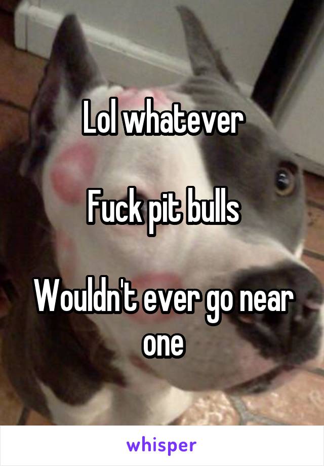 Lol whatever

Fuck pit bulls

Wouldn't ever go near one