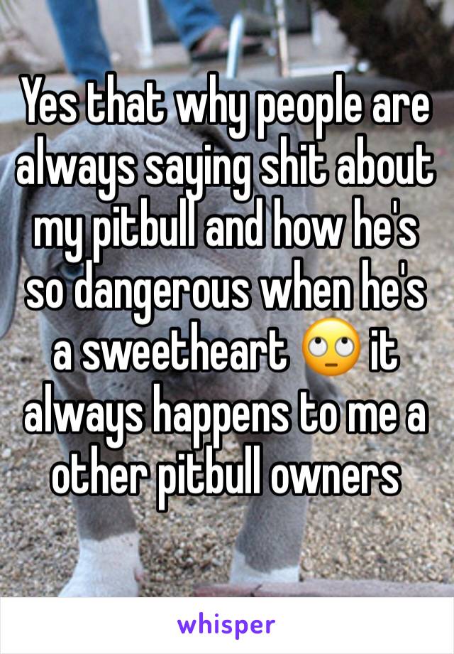 Yes that why people are always saying shit about my pitbull and how he's so dangerous when he's a sweetheart 🙄 it always happens to me a other pitbull owners 