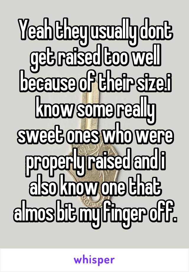 Yeah they usually dont get raised too well because of their size.i know some really sweet ones who were properly raised and i also know one that almos bit my finger off. 