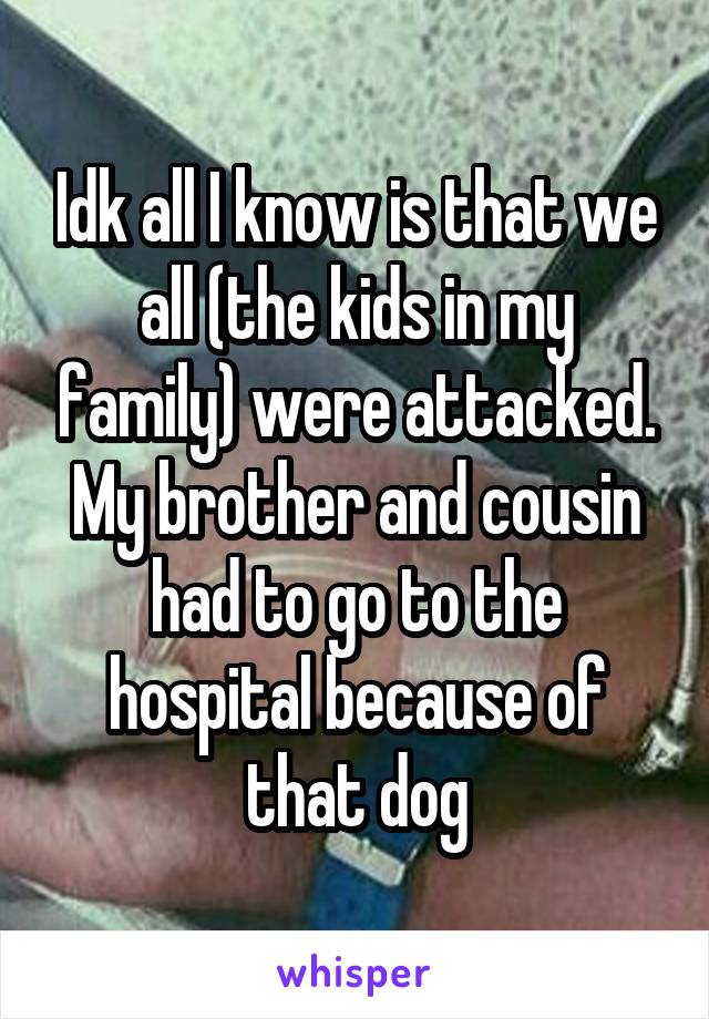 Idk all I know is that we all (the kids in my family) were attacked. My brother and cousin had to go to the hospital because of that dog