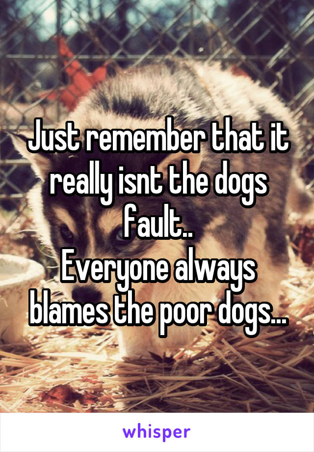 Just remember that it really isnt the dogs fault..
Everyone always blames the poor dogs...