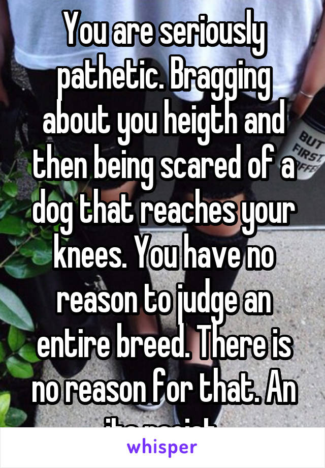 You are seriously pathetic. Bragging about you heigth and then being scared of a dog that reaches your knees. You have no reason to judge an entire breed. There is no reason for that. An its racist.