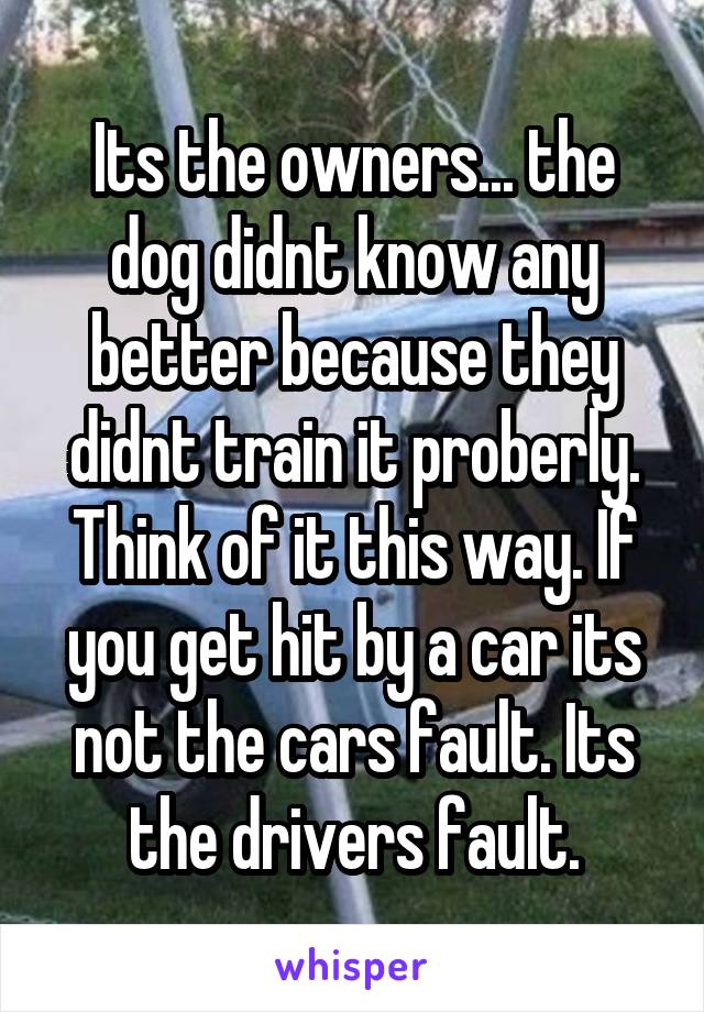 Its the owners... the dog didnt know any better because they didnt train it proberly. Think of it this way. If you get hit by a car its not the cars fault. Its the drivers fault.