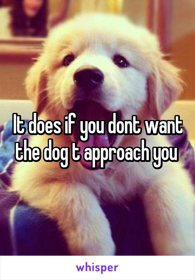 It does if you dont want the dog t approach you 