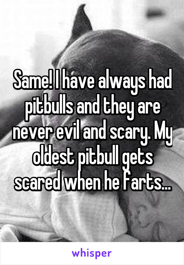 Same! I have always had pitbulls and they are never evil and scary. My oldest pitbull gets scared when he farts...