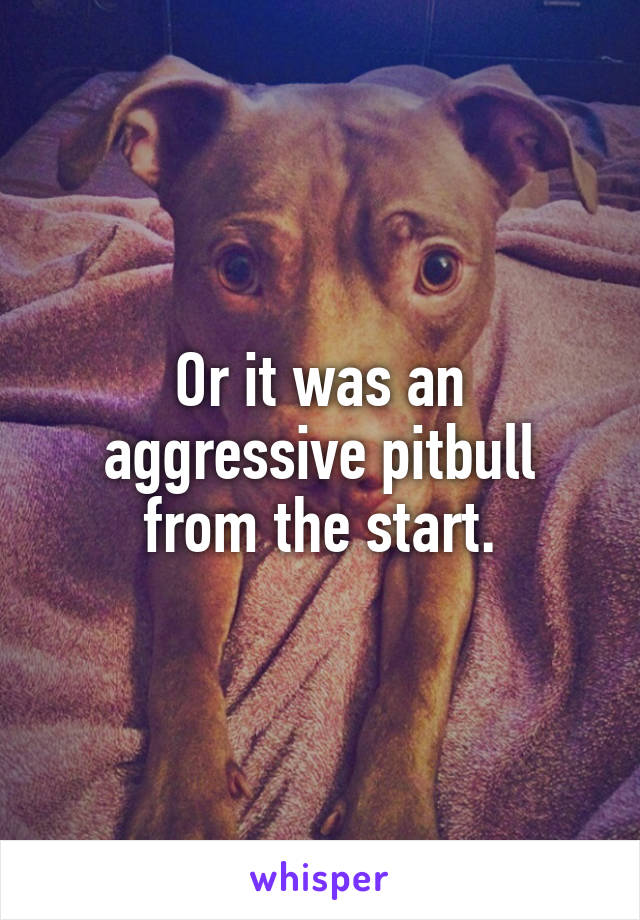 Or it was an aggressive pitbull from the start.